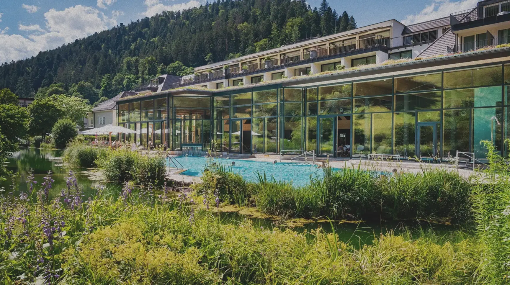 Drei Damen genießen eine Tasse Tee auf einer sonnigen Bank mitten in der Natur